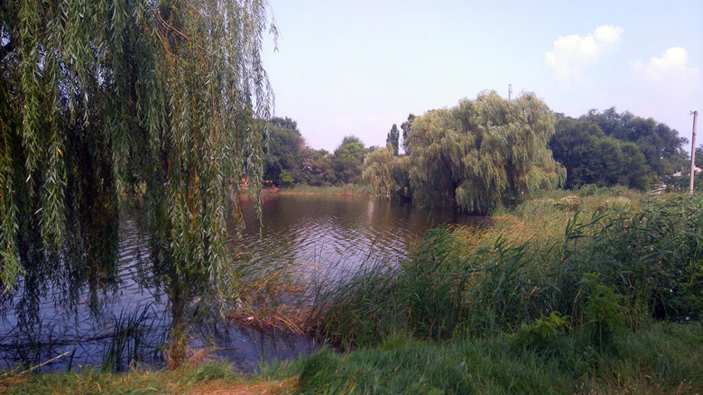 Chaplynka Petrykovka River 2016