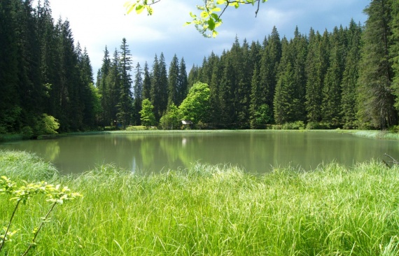 озеро Горный Глаз на Буковине