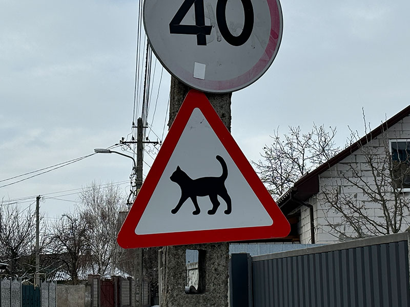 Знак обережно коти в Дніпрі
