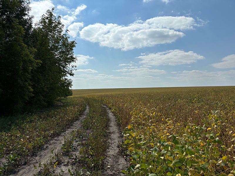 Дорога до Костянтинівського кар'єру